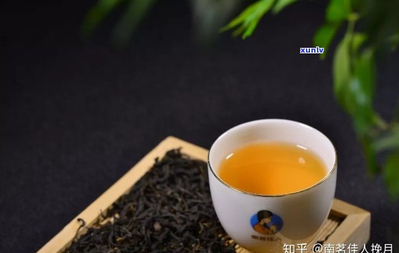 新 古树红茶与传统红茶的异同：它是真正的红茶吗？