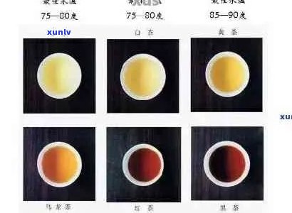 普洱茶冲泡度多少度合适？