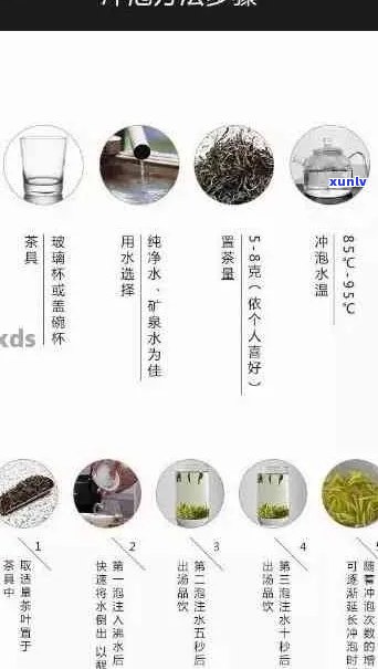 新掌握普洱茶冲泡度的艺术：从90°C到105°C,哪个才是选择？