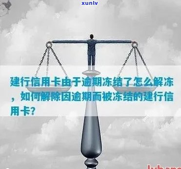 建行信用卡逾期冻结后如何解冻？详细步骤与注意事项一览