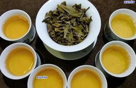 新 '普洱茶品种多样，好喝的你尝过几种？'