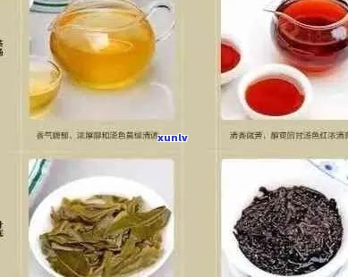 新 '普洱茶品种多样，好喝的你尝过几种？'