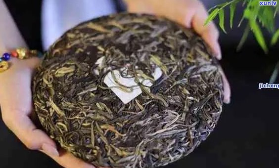 好喝的普洱茶多不多呀？有哪些好喝的普洱茶推荐？