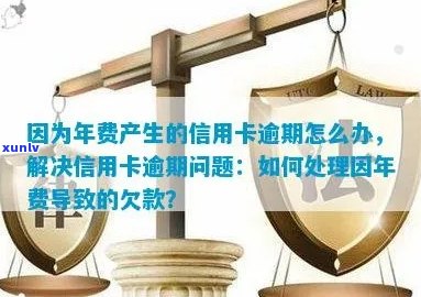 信用卡年费逾期还款困扰，如何解决？