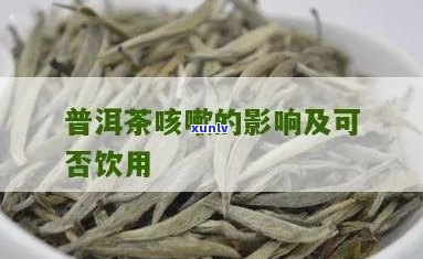 热咳可以喝普洱茶吗