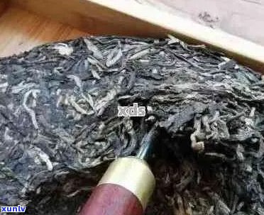 普洱茶存久了有闷味怎么回事？如何解决这个问题？