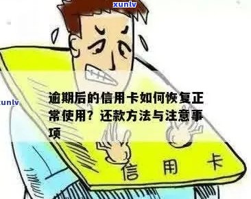 逾期后信用卡恢复正常使用及还款处理全攻略