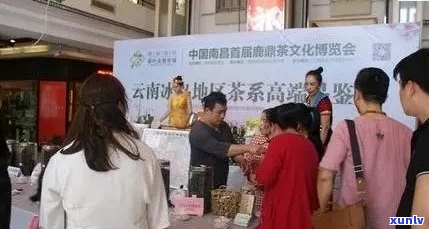 上海茶叶交易中心：探索普洱茶投资与文化价值