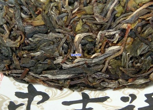 上海批销普洱茶