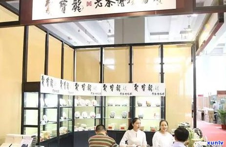 普洱茶：陈年佳酿还是新茶口感？揭秘普洱茶的新生代