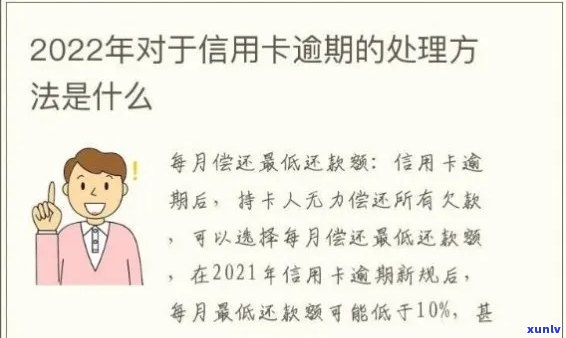 2020年信用卡逾期问题大揭秘：原因、影响与解决方案一网打尽！