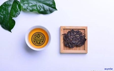 普洱茶是陈的好喝吗