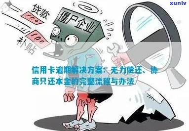 信用卡逾期：无力偿还怎么办？协商只还本金流程及咨询，停息挂账办理