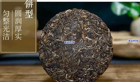 普洱茶棉纸黄点现象解析：原因、影响及如何鉴别真伪