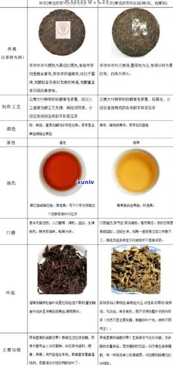 普洱生茶对便秘者的影响： 一份详尽的研究分析