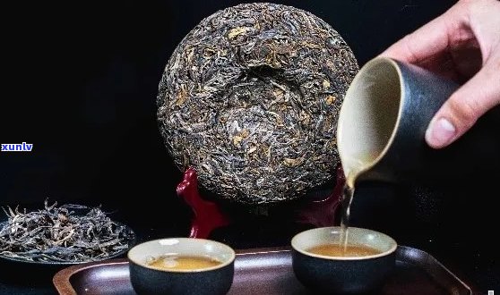 新普洱茶中的微量元素有哪些？它们对人体有哪些益处和潜在风险？