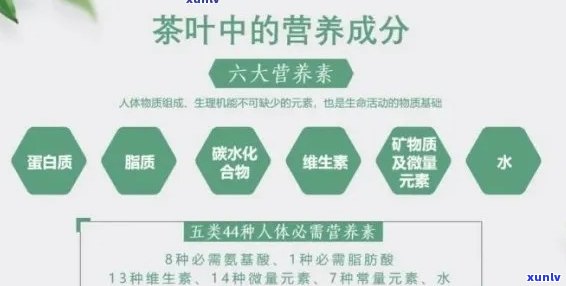 新普洱茶中的微量元素有哪些？它们对人体有哪些益处和潜在风险？