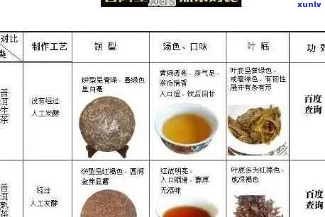 普洱茶中的微量元素种类及其对人体健的影响：一篇全面解析