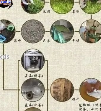 从猴子到普洱茶：了解普洱茶的完整 *** 过程和相关问题