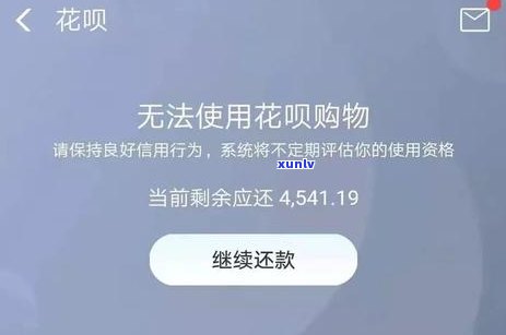 信用卡4000逾期2年：后果、金额与可能的处罚