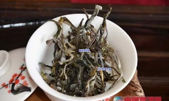 南美缸能下普洱茶吗