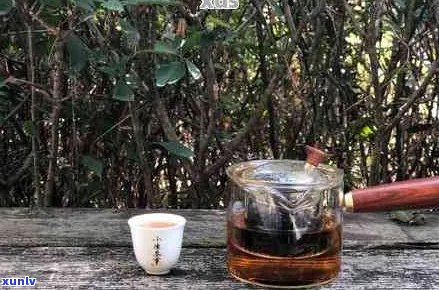 普洱茶煮多长时间？探究煮茶时间与口感的关系