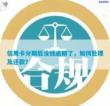 逾期未还款的信用卡如何处理？了解销卡、降额、分期等解决方案