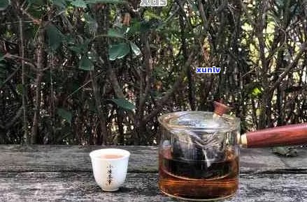 普洱茶煮多少分合适？