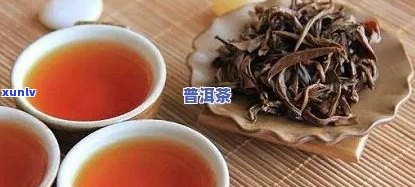 傣香普洱茶什么意思