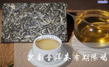 傣香普洱茶什么意思