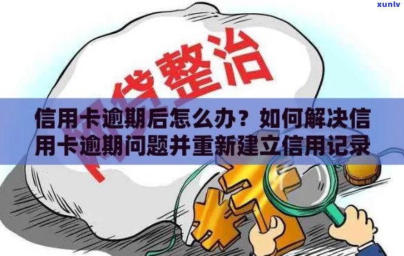 信用卡逾期消除时间：如何解决逾期问题并修复信用记录？