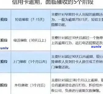 新信用卡逾期利息减免流程详解，如何合法节省还款成本？