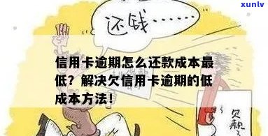 新信用卡逾期利息减免流程详解，如何合法节省还款成本？