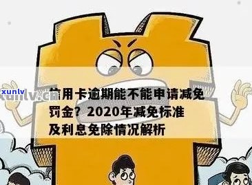 信用卡利息减免申请指南：如何申请、条件及流程详解