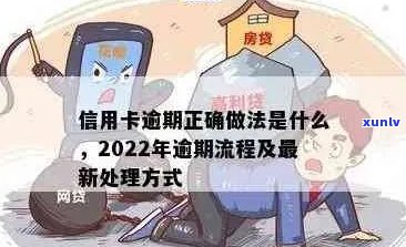 信用卡逾期归哪里管理？2021年新标准和2022年流程详解