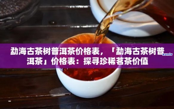 劲海古树普洱茶价格表大全