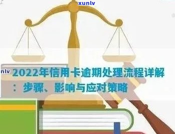 2022年信用卡逾期处理全攻略：如何规划还款、影响与解决方案一文解析