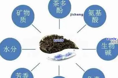 普洱茶的风味之谜：探究其独特的味道来源及成因