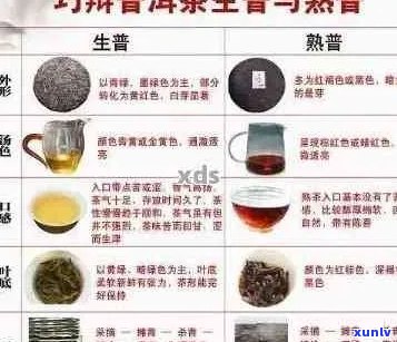 普洱茶的风味之谜：探究其独特的味道来源及成因