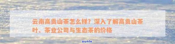 高贡山普洱生茶价格区间、品质及购买途径全面解析，助您轻松选购优质茶叶