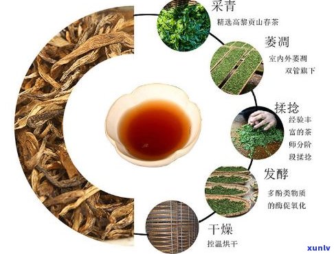 高贡山普洱茶熟茶茶砖礼盒价格及357古树茶云南园茶套装