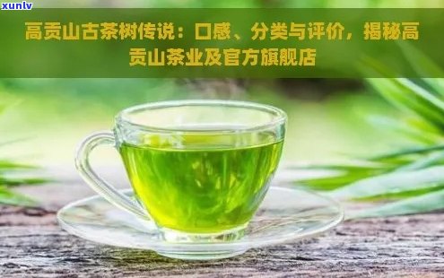 云南高贡山茶的品质、口感和选购技巧：一篇全面指南