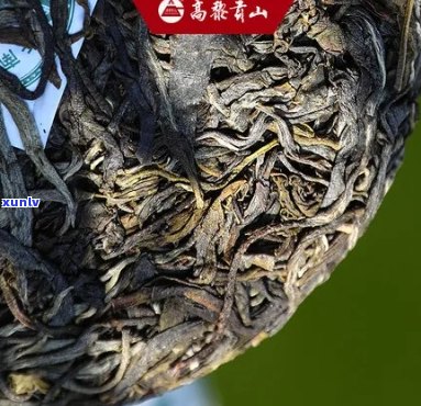 高贡山普洱茶回滇