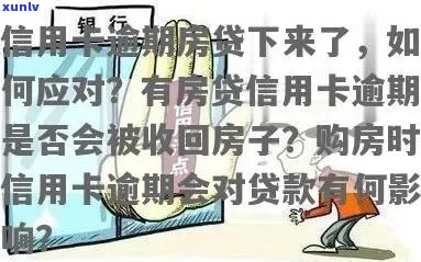 信用卡逾期后如何解决贷款买房问题？这里有全面的解决方案！