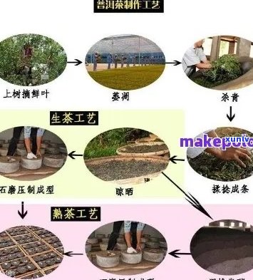 普洱茶压饼工艺标准：流程、时间与要求全解析