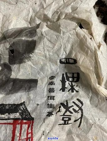 古树普洱茶压饼技巧