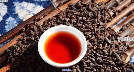 普洱茶7536和普洱茶7538以及普洱茶7531和普洱茶7533的区别和意义。