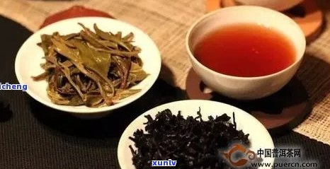 普洱茶的饮用 *** 和注意事项，如何正确品尝和保存普洱茶？