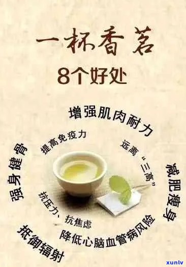 普洱茶的健益处：科学研究揭示其在消化、心脏和免疫方面的潜力