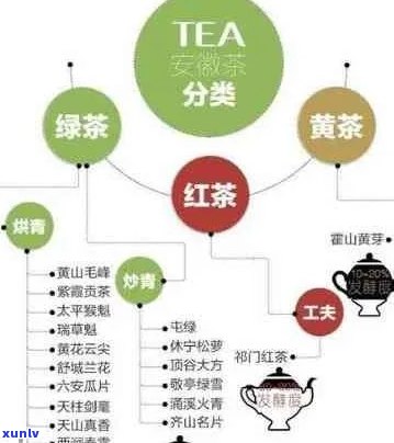 全面解析互联网普洱茶：可靠性、购买渠道与品鉴技巧一应俱全